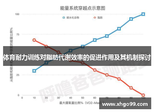 体育耐力训练对脂肪代谢效率的促进作用及其机制探讨
